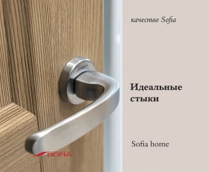 Качество начинается с мелочей - двери Sofia