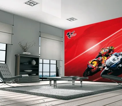 Panels 1594 Moto GP Evolution 6 image