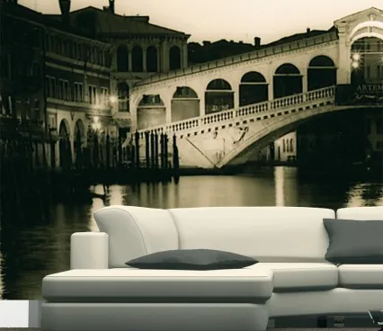 Panouri 1562 Venice Bridge Evolution 6 image