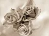 Панно 1564 Roses Evolution 6 thumb-image