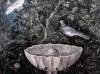 Панно 1290 Fountain with Birds Evolution 3 thumb-image