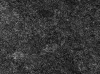 Gresie pentru bazin Volcanic Gresie 14.7*14.7 cm Lava OUT thumb-image