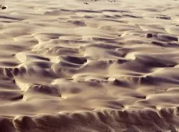 1585 Sand Evolution 6