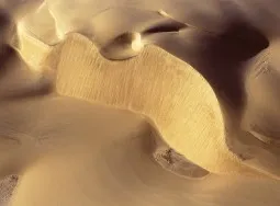 1584 Top of Dune Evolution 6