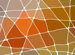 1498-3 Patchwork Orange Evolution 5