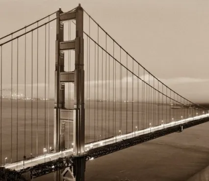 Панно 1586 San Fransico Bridge Evolution 6 image