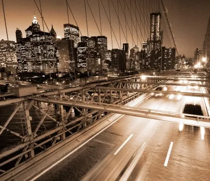 Панно 1573 Skyline from the Brooklyn Bridge Evolution 6 image