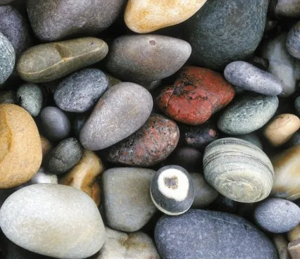 Панно 1575 Stones Evolution 6 image