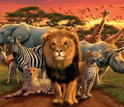 Панно 1520 On Safari Evolution 6 image