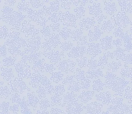 Wallpapers premium Q3 006 Sialia image