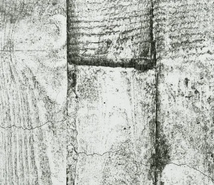 Настенные панели Concrete  Wood Line image