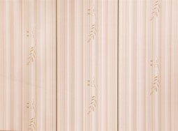 Panouri pentru pere&#539;i G2 Silver Lambriu PVC