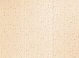 Panouri pentru pere&#539;i 9308 Beige Lambriu PVC