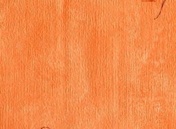 Tapete 3111073  Papierowe