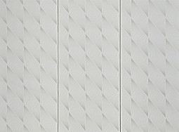 Panouri pentru pere&#539;i G60 Silver Lambriu PVC
