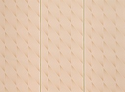 Panouri pentru pere&#539;i G60 Golden Lambriu PVC