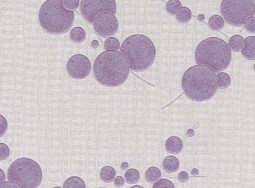 Tapete BXB-003-06-5  Blueberry
