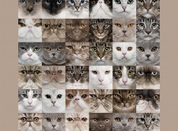 Панно DA 001 Animals