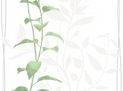 Tapete IN3201  Intuition
