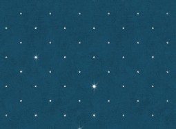 Обои премиум класс 2209 Brilliant