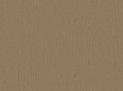 Tapete clasa premium AS5 010 Amber Salon