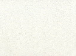 Tapete 25A-035  Pentru vopsire