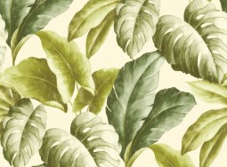 Tapete BA2401 Botanical