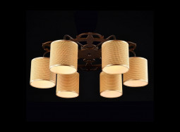 Lustre FR100-06-R  