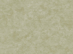 Tapete 4067 Uniti 2