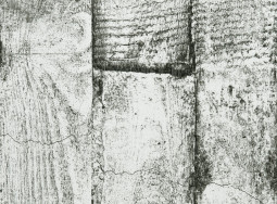 Panouri pentru pere&#539;i Concrete  Wood Line